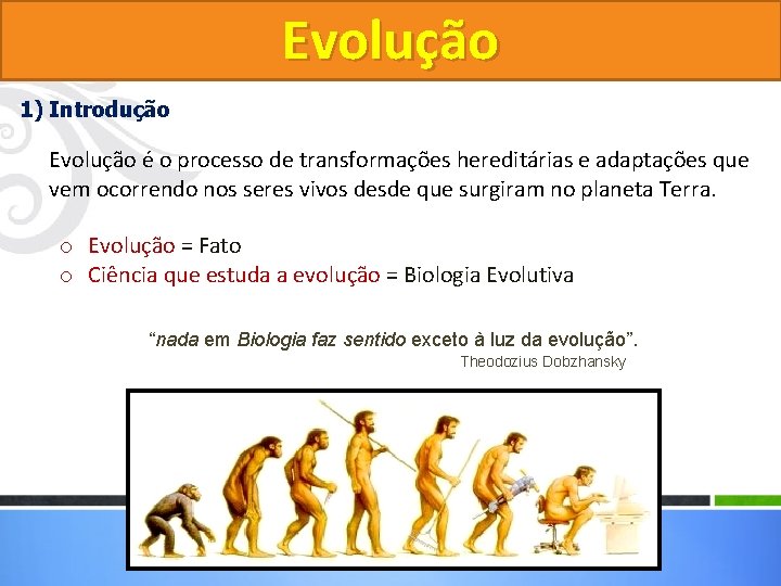 Evolução 1) Introdução Evolução é o processo de transformações hereditárias e adaptações que vem Evolução 1) Introdução Evolução é o processo de transformações hereditárias e adaptações que vem