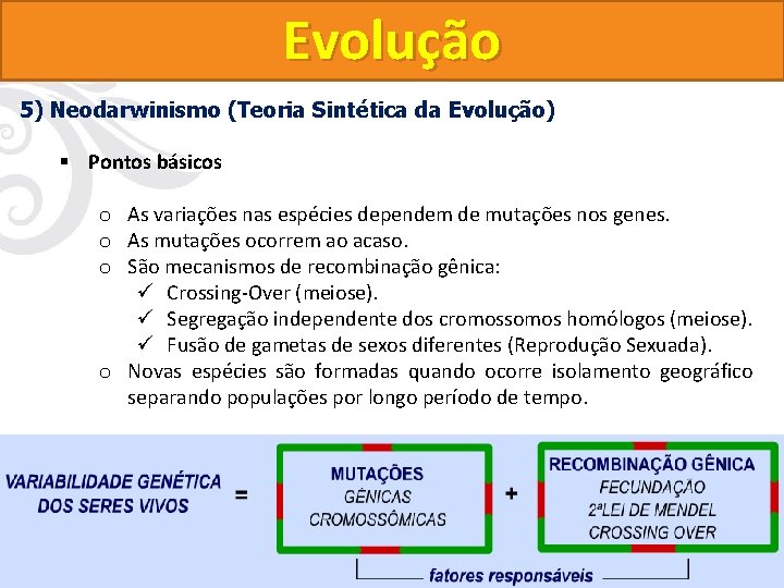 Evolução 5) Neodarwinismo (Teoria Sintética da Evolução) § Pontos básicos o As variações nas Evolução 5) Neodarwinismo (Teoria Sintética da Evolução) § Pontos básicos o As variações nas