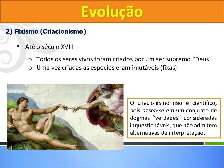 Evolução 2) Fixismo (Criacionismo) § Até o século XVIII o Todos os seres vivos Evolução 2) Fixismo (Criacionismo) § Até o século XVIII o Todos os seres vivos