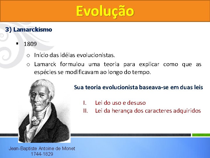 Evolução 3) Lamarckismo § 1809 o Início das idéias evolucionistas. o Lamarck formulou uma Evolução 3) Lamarckismo § 1809 o Início das idéias evolucionistas. o Lamarck formulou uma
