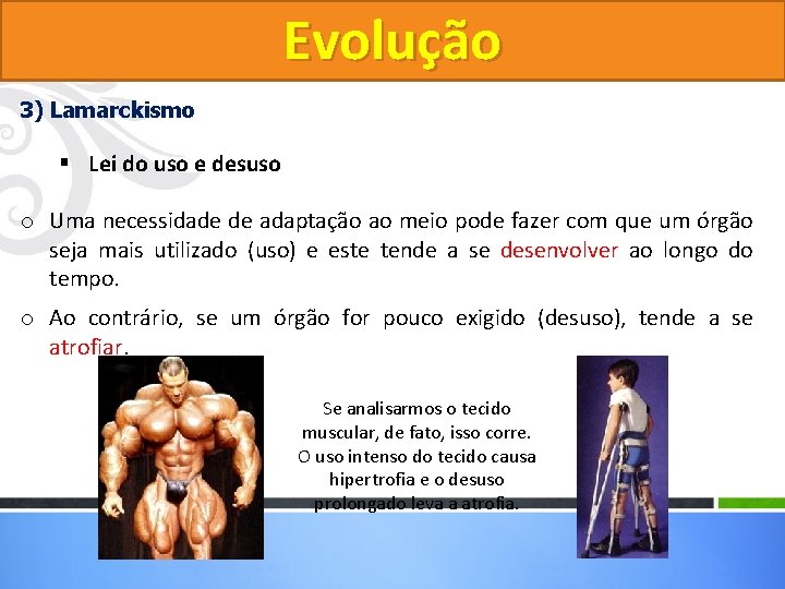 Evolução 3) Lamarckismo § Lei do uso e desuso o Uma necessidade de adaptação Evolução 3) Lamarckismo § Lei do uso e desuso o Uma necessidade de adaptação