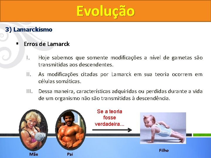Evolução 3) Lamarckismo § Erros de Lamarck I. Hoje sabemos que somente modificações a Evolução 3) Lamarckismo § Erros de Lamarck I. Hoje sabemos que somente modificações a
