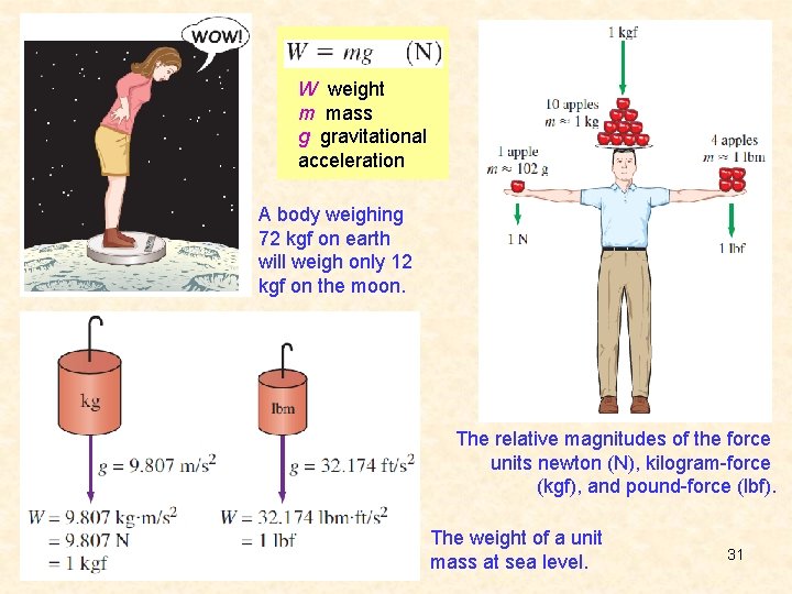 W weight m mass g gravitational acceleration A body weighing 72 kgf on earth