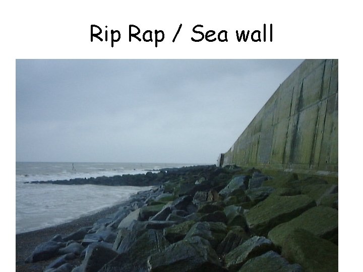 Rip Rap / Sea wall 