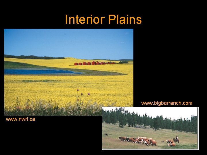 Interior Plains www. bigbarranch. com www. nwri. ca 