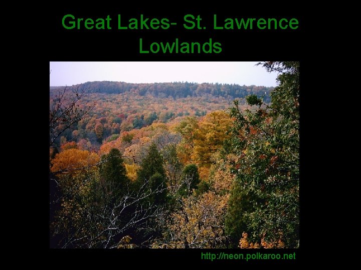 Great Lakes- St. Lawrence Lowlands http: //neon. polkaroo. net 