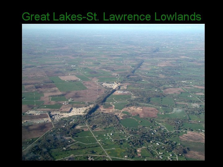 Great Lakes-St. Lawrence Lowlands 