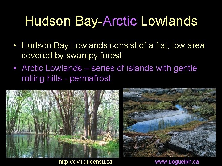 Hudson Bay-Arctic Lowlands • Hudson Bay Lowlands consist of a flat, low area covered