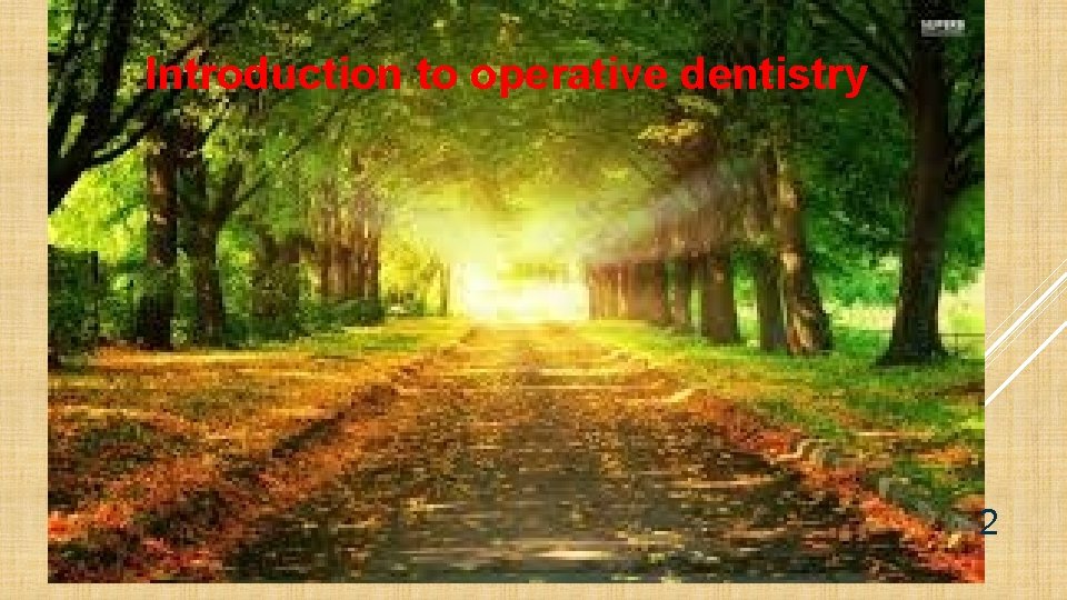 Introduction to operative dentistry 2 