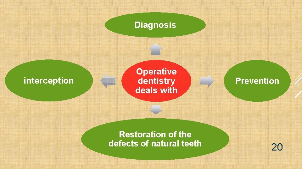 Diagnosis interception Operative dentistry deals with Restoration of the defects of natural teeth Prevention