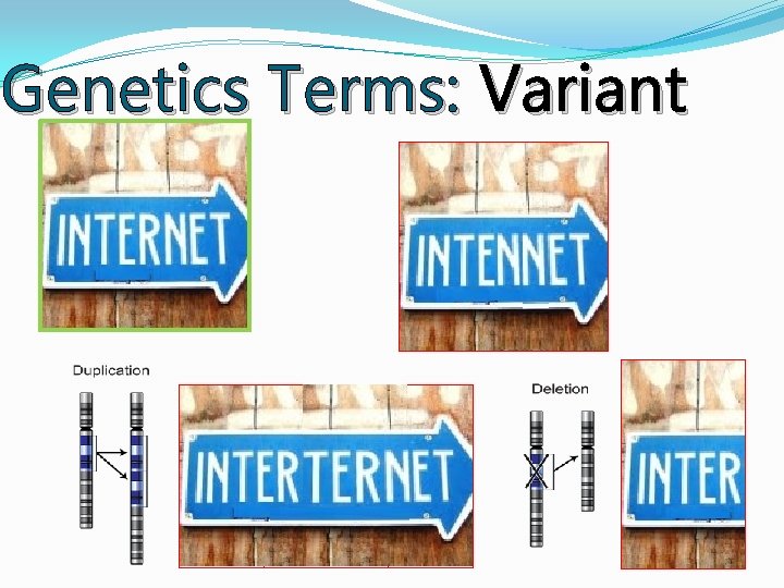Genetics Terms: Variant Genetics Terms: Variant