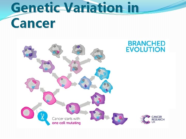 Genetic Variation in Cancer Genetic Variation in Cancer