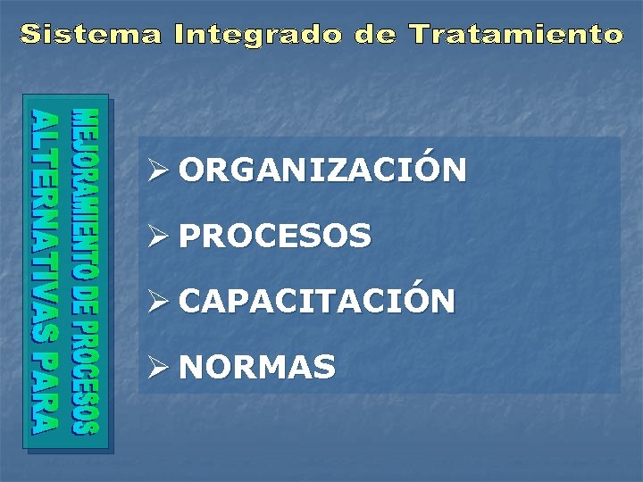 Ø ORGANIZACIÓN Ø PROCESOS Ø CAPACITACIÓN Ø NORMAS 