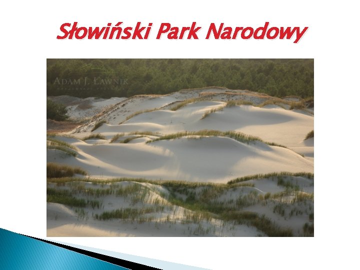 Słowiński Park Narodowy 