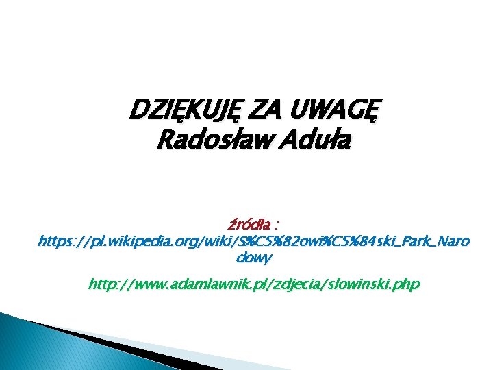 DZIĘKUJĘ ZA UWAGĘ Radosław Aduła źródła : https: //pl. wikipedia. org/wiki/S%C 5%82 owi%C 5%84