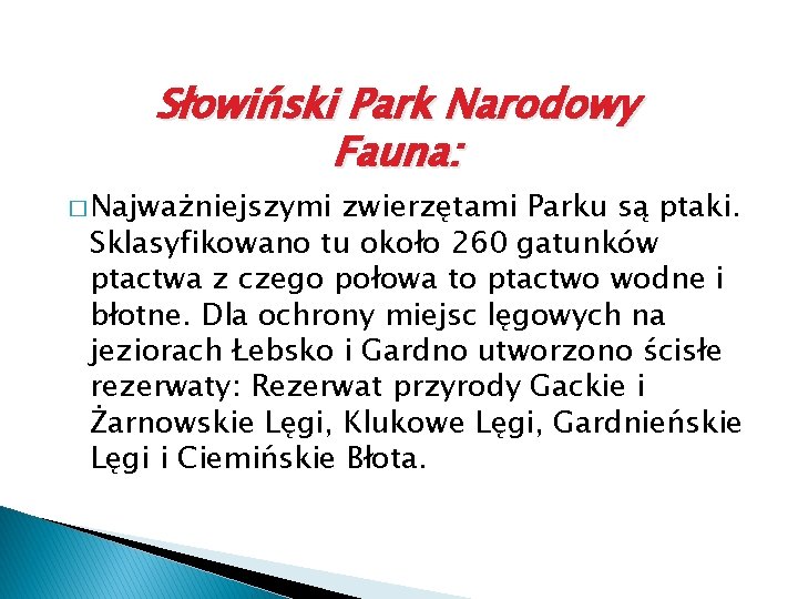 Słowiński Park Narodowy Fauna: � Najważniejszymi zwierzętami Parku są ptaki. Sklasyfikowano tu około 260