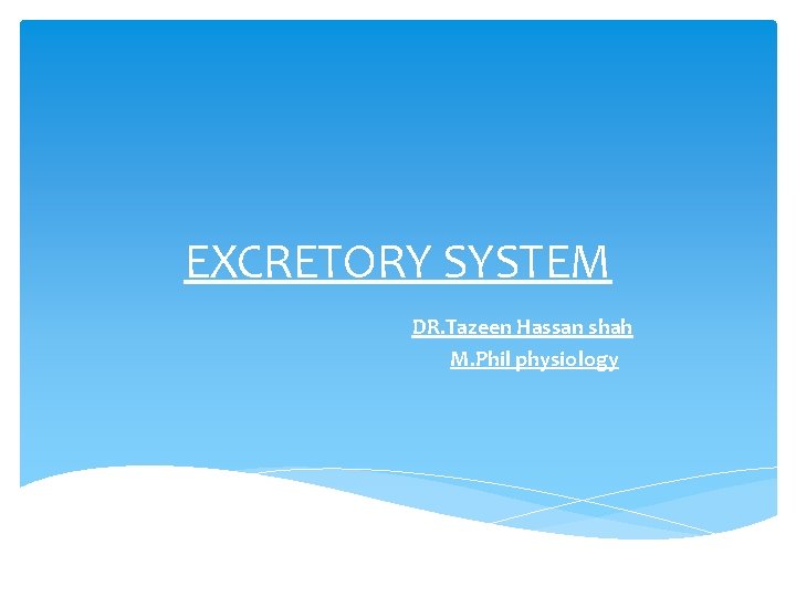 EXCRETORY SYSTEM DR. Tazeen Hassan shah M. Phil physiology 