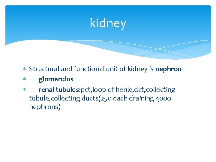 kidney Structural and functional unit of kidney is nephron glomerulus renal tubules: pct, loop