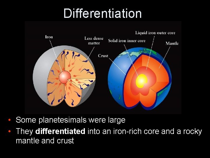 Differentiation • Some planetesimals were large • They differentiated into an iron-rich core and