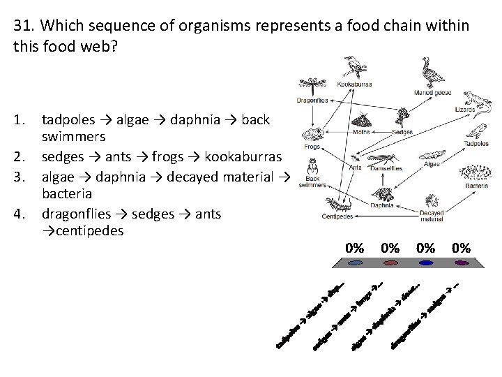 31. Which sequence of organisms represents a food chain within this food web? 1.