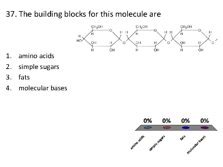 37. The building blocks for this molecule are 1. 2. 3. 4. amino acids
