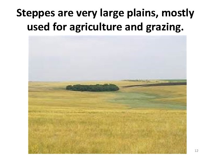 Steppes are very large plains, mostly used for agriculture and grazing. 12 Steppes are very large plains, mostly used for agriculture and grazing. 12