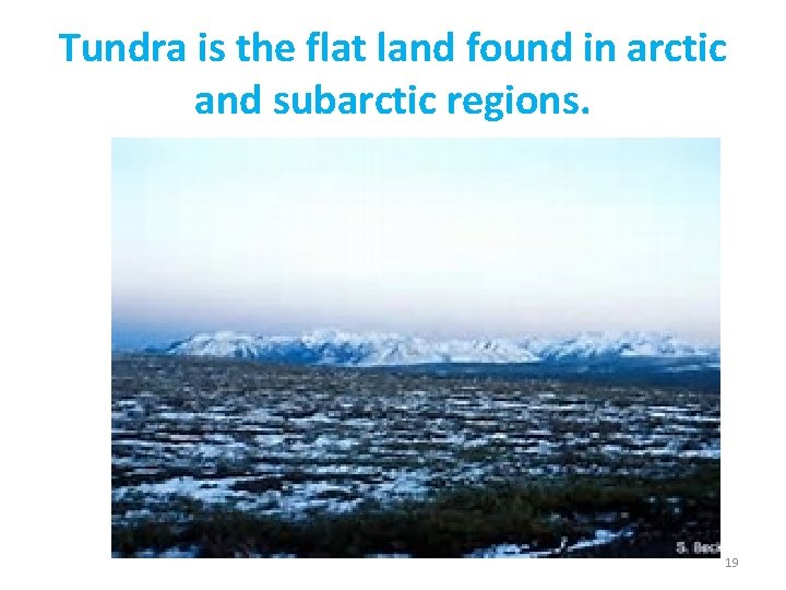 Tundra is the flat land found in arctic and subarctic regions. 19 Tundra is the flat land found in arctic and subarctic regions. 19