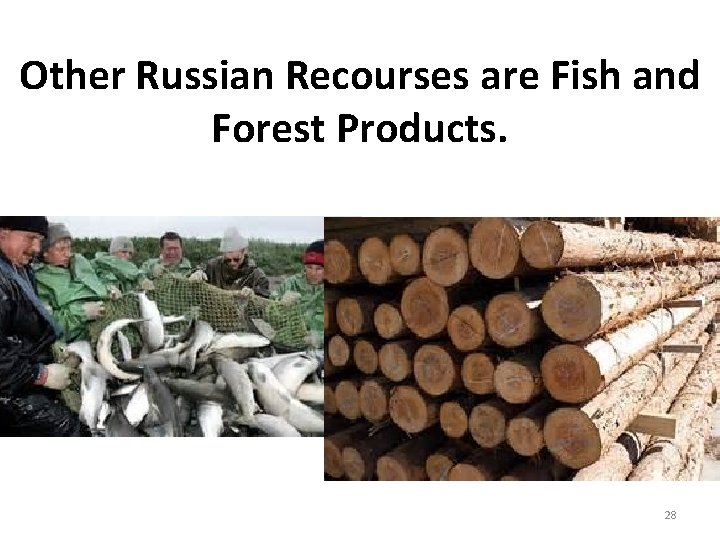 Other Russian Recourses are Fish and Forest Products. 28 Other Russian Recourses are Fish and Forest Products. 28