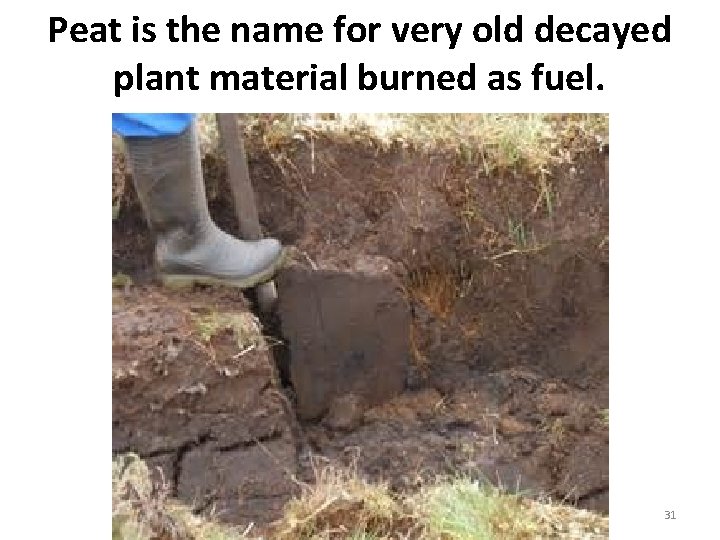 Peat is the name for very old decayed plant material burned as fuel. 31 Peat is the name for very old decayed plant material burned as fuel. 31