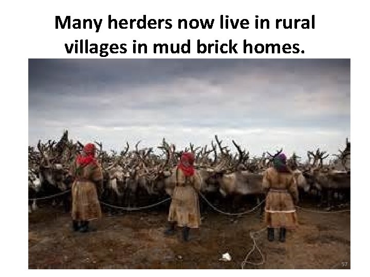 Many herders now live in rural villages in mud brick homes. 57 Many herders now live in rural villages in mud brick homes. 57