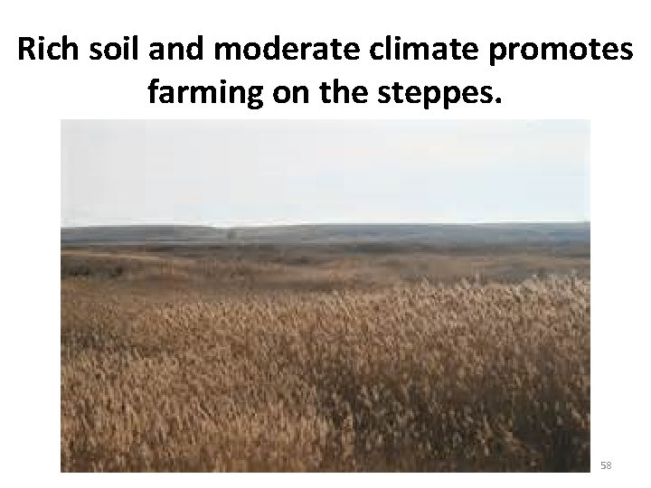 Rich soil and moderate climate promotes farming on the steppes. 58 Rich soil and moderate climate promotes farming on the steppes. 58