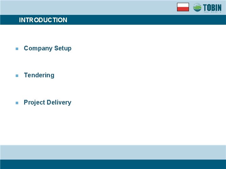 INTRODUCTION n Company Setup n Tendering n Project Delivery 