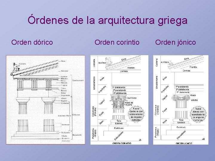 Órdenes de la arquitectura griega Orden dórico Orden corintio Orden jónico 