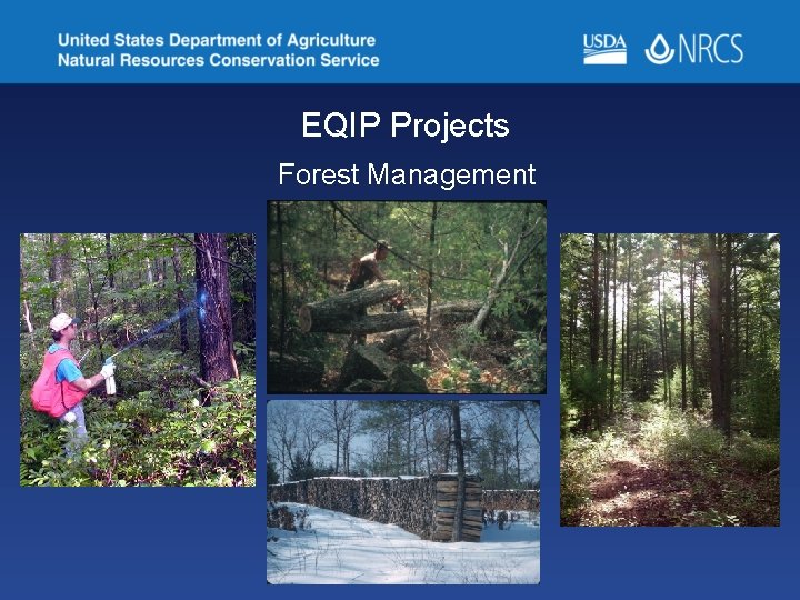 EQIP Projects Forest Management 