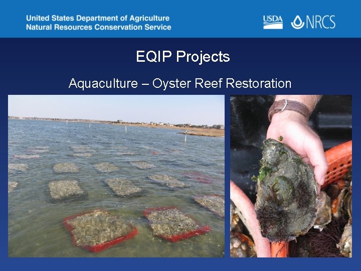 EQIP Projects Aquaculture – Oyster Reef Restoration 