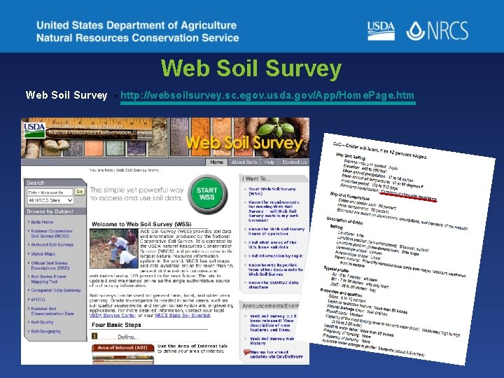 Web Soil Survey - http: //websoilsurvey. sc. egov. usda. gov/App/Home. Page. htm 