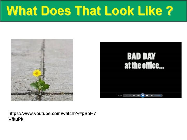 What Does That Look Like ? https: //www. youtube. com/watch? v=p. S 5 H