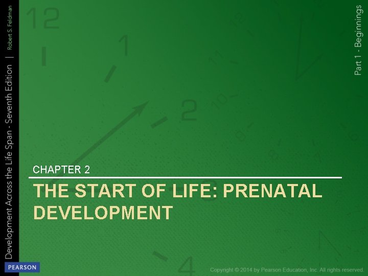 CHAPTER 2 THE START OF LIFE: PRENATAL DEVELOPMENT 