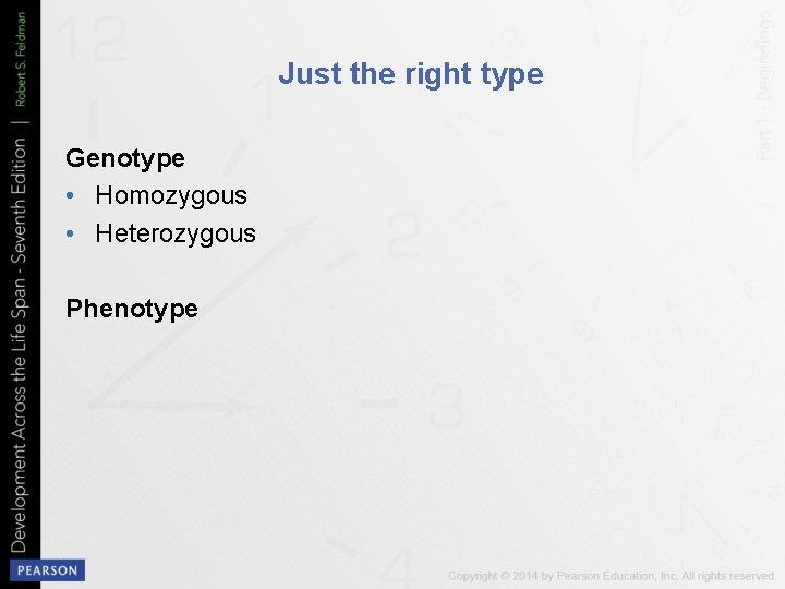 Just the right type Genotype • Homozygous • Heterozygous Phenotype 