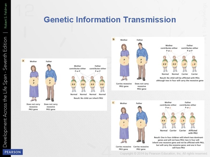 Genetic Information Transmission 