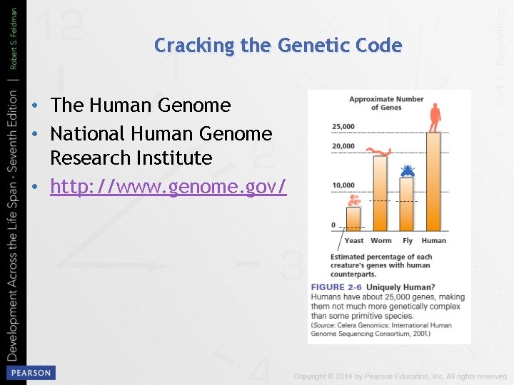 Cracking the Genetic Code • The Human Genome • National Human Genome Research Institute