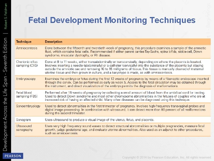 Fetal Development Monitoring Techniques 