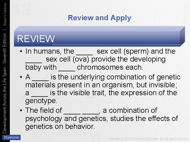 Review and Apply REVIEW • In humans, the ____ sex cell (sperm) and the