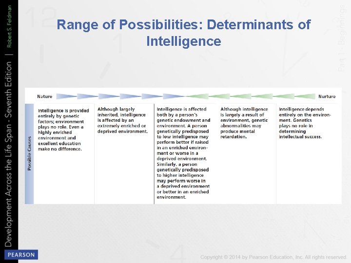 Range of Possibilities: Determinants of Intelligence 