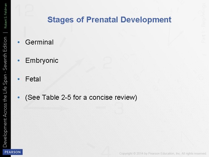 Stages of Prenatal Development • Germinal • Embryonic • Fetal • (See Table 2