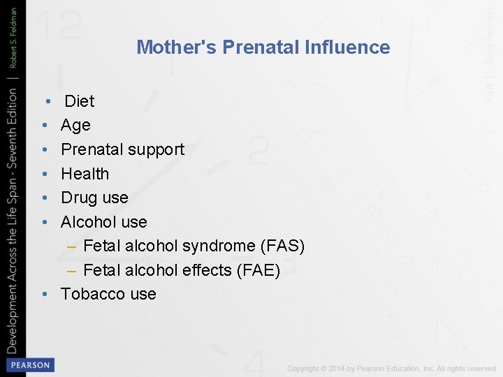 Mother's Prenatal Influence • • • Diet Age Prenatal support Health Drug use Alcohol