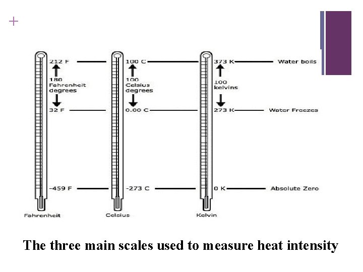 + The three main scales used to measure heat intensity 