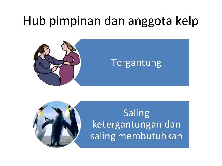 Hub pimpinan dan anggota kelp Tergantung Saling ketergantungan dan saling membutuhkan Hub pimpinan dan anggota kelp Tergantung Saling ketergantungan dan saling membutuhkan