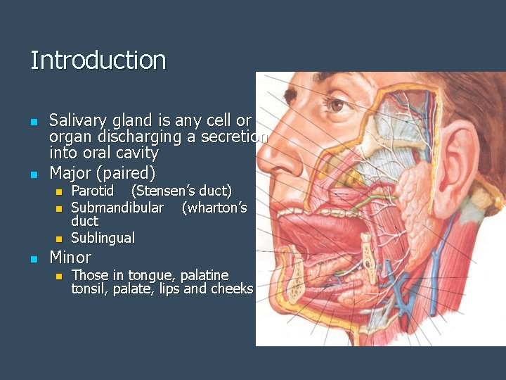 Introduction n n Salivary gland is any cell or organ discharging a secretion into