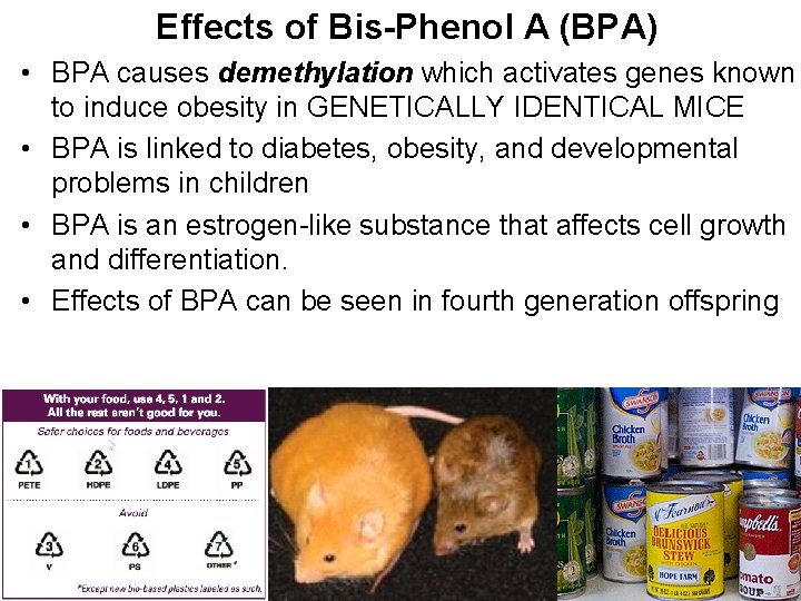 Effects of Bis-Phenol A (BPA) • BPA causes demethylation which activates genes known to